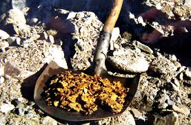 Где золото?